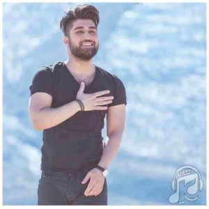 آهنگ پیروزه از نوید زردی