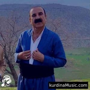 عزیز ویسی - زور زور کم کم