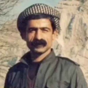 ناصر رزازی - ملول