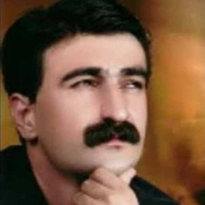 حمید حمیدی  ،سفر