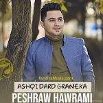 دانلود آهنگ عاشقی درد گرانیکه از پیشرو هورامی