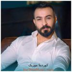 دانلود آهنگ گول بینن از آریاس جوان