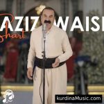 دانلود آهنگ یه زه ن یه زه ن از عزیز ویسی